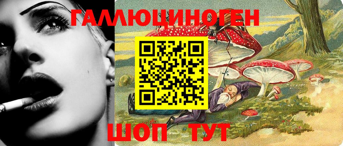 Псилоцибиновые грибы Psilocybine cubensis  Вход с VPN  купить наркотики цена  Псилоцибиновые грибы Psilocybine cubensis  Южно-Сахалинск 
